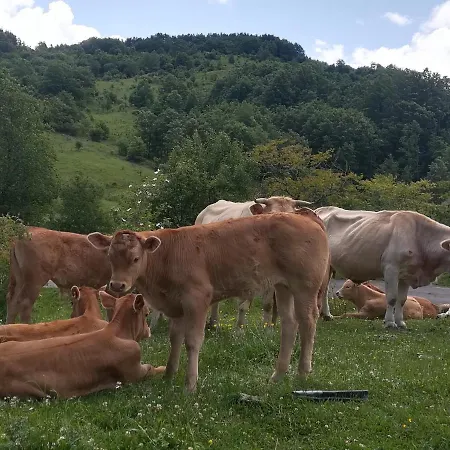 Le Ginestre Bed & Breakfast Viggianello