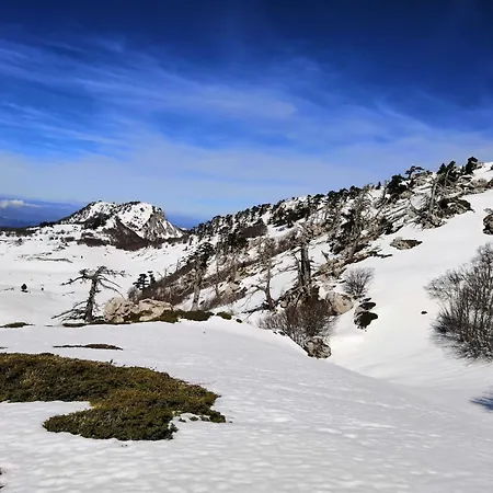 Bed & Breakfast Le Ginestre Viggianello