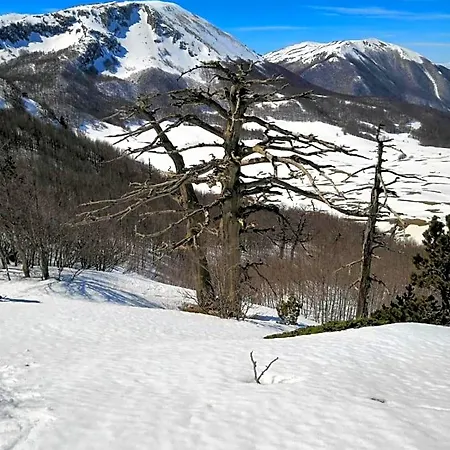 فندق مبيت وإفطار Le Ginestre 3*