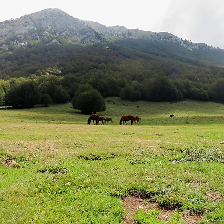 Bed & Breakfast Le Ginestre Viggianello