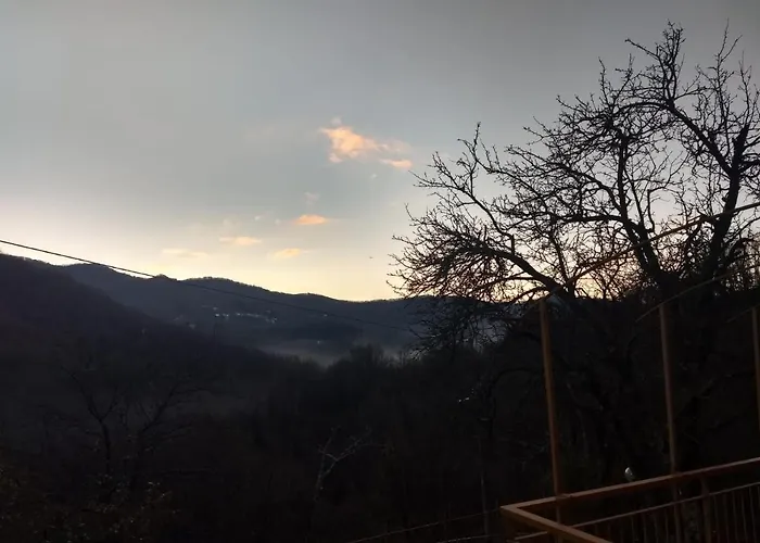 Le Ginestre Viggianello