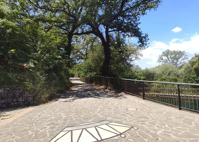 Bed & Breakfast Le Ginestre Viggianello