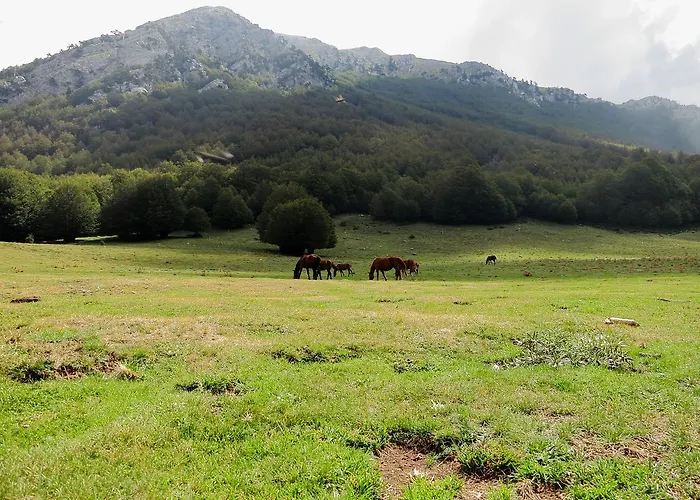 Bed & Breakfast Le Ginestre Viggianello